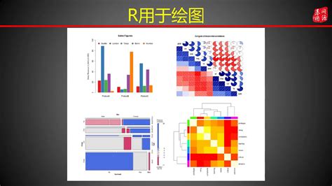 1 R语言介绍 .